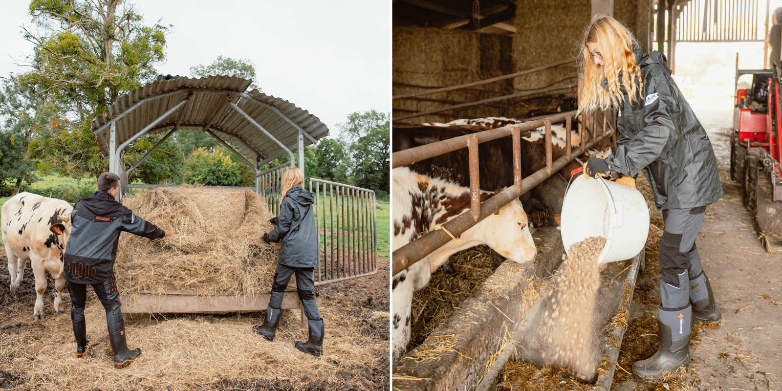 Soins aux animaux et bâtiments